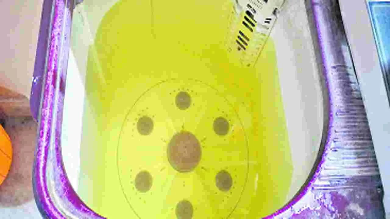 వారం రోజులుగా కలుషిత నీటి సరఫరా