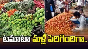 టమాటా మళ్లీ పెరిగిందిగా.. 