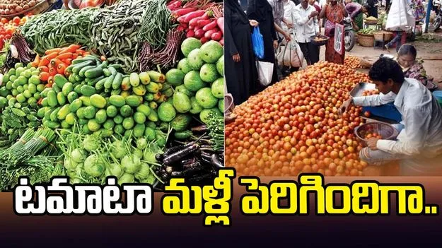 టమాటా మళ్లీ పెరిగిందిగా.. 