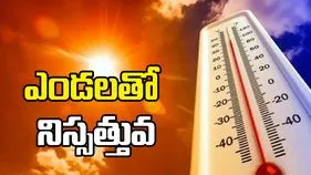 ఎండలతో నిస్సత్తువ
