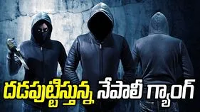 దడపుట్టిస్తున్న నేపాలీ గ్యాంగ్‌