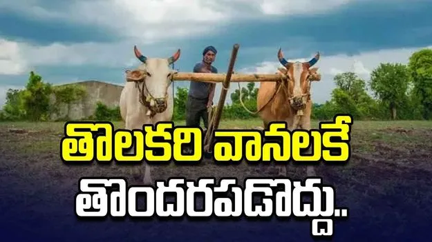 తొలకరి వానలకే తొందరపడొద్దు..