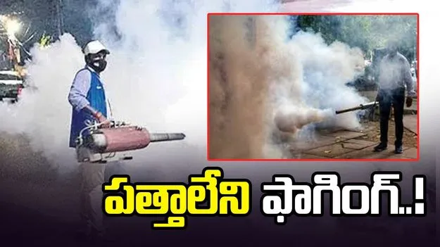 పత్తాలేని ఫాగింగ్‌..!