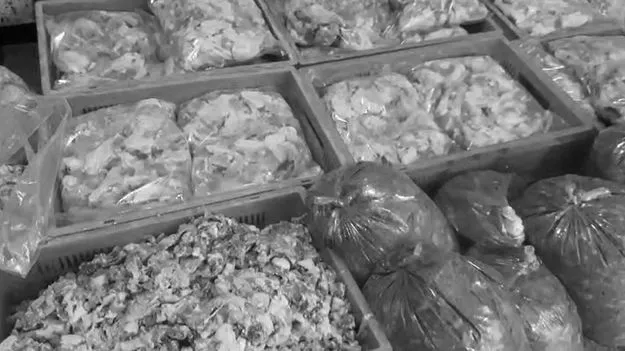 భరత్‌నగర్‌లో కుళ్లిన చికెన్‌ సరఫరా