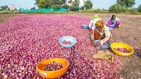 తగ్గిన ఉల్లిధర.. 