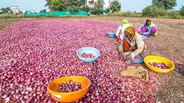 తగ్గిన ఉల్లిధర.. 