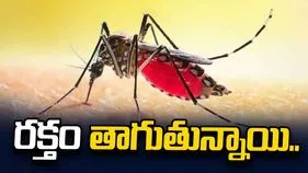 రక్తం తాగుతున్నాయి..