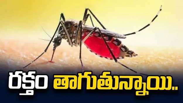 రక్తం తాగుతున్నాయి..