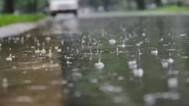 భూపాలపల్లి జిల్లాలో లోటు వర్షపాతం