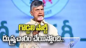 గొడ్డలి పార్టీ మా ప్రభుత్వంపై దుష్ప్రచారం చేయిస్తోంది.. సీఎం చంద్రబాబు ధ్వజం 
