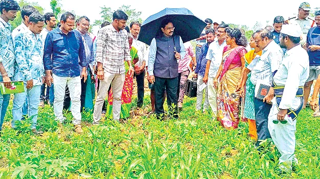  El Niño  ఎల్‌నినో ప్రభావాన్ని   సమర్థంగా ఎదుర్కొందాం