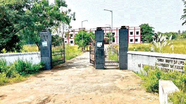 పాలిటెక్నిక్‌తో భవిత!