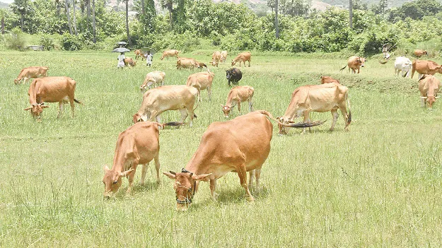 లెక్క చెప్పేదెప్పుడో?