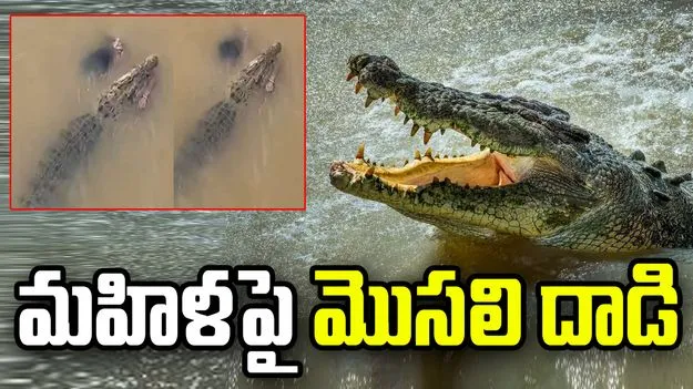 మహిళను చంపి తినేసిన మొసలి.. 15 గంటల తర్వాత.. 