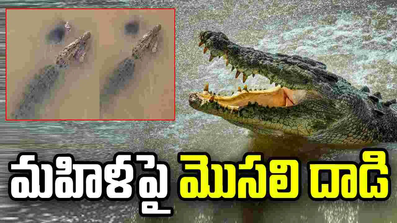 మహిళను చంపి తినేసిన మొసలి.. 15 గంటల తర్వాత..