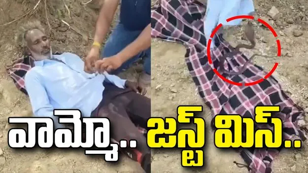 నిద్రలో ఉండగా షర్టులోకి దూరిన కోబ్రా.. చివరికి.. 