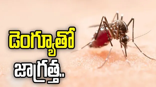 డెంగ్యూతో జాగ్రత్త.. 