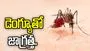 డెంగ్యూతో జాగ్రత్త.. 