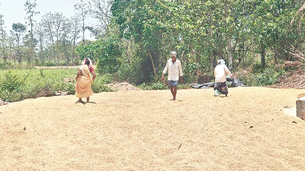 Rabi Paddy  రబీ ధాన్యం కొనుగోలు చేయట్లే!