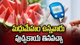 మధుమేహం ఉన్నవారు పుచ్చకాయ తినవచ్చా?