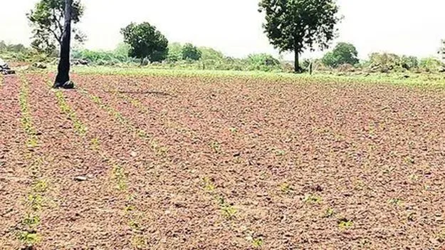 ఆయకట్టు మొత్తం బీడే..!
