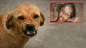 వీధి కుక్కల దాడిలో చిన్నారి మృతి