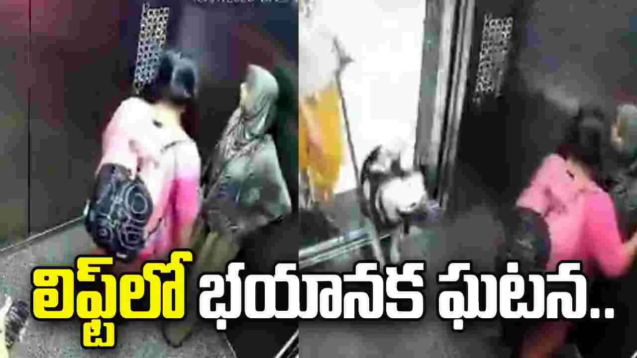 లిఫ్ట్‌లో భయానక ఘటన.. బాలికపై దాడి చేసిన పెంపుడు కుక్క..