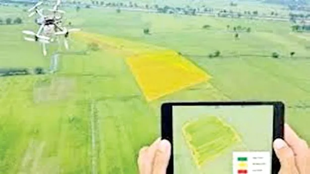 ఎల్‌పీఎం చిక్కులు!