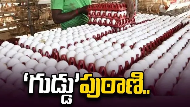 ‘గుడ్డు’పుఠాణి.. ఐసీడీఎస్‏లో అధికారులు, కాంట్రాక్టర్ల కుమ్మక్కు
