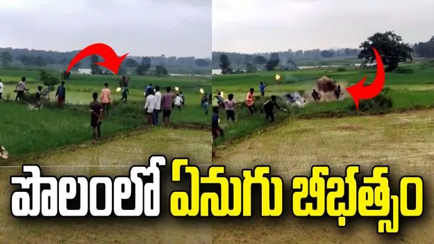 టార్చ్‌లైట్లతో బెదిరించబోతే జనంపైకి దూసుకొచ్చిన ఏనుగు.. వీడియో వైరల్