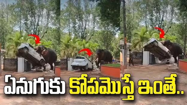 ఏనుగుకు కోపం వస్తే ఎలా ఉంటుందో తెలుసా.. కారును ఏం చేసిందో చూడండి..