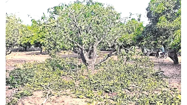 గజరాజుల బీభత్సం