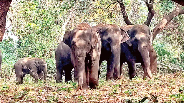  Won’t Let Go! కదలవు.. వదలవు!