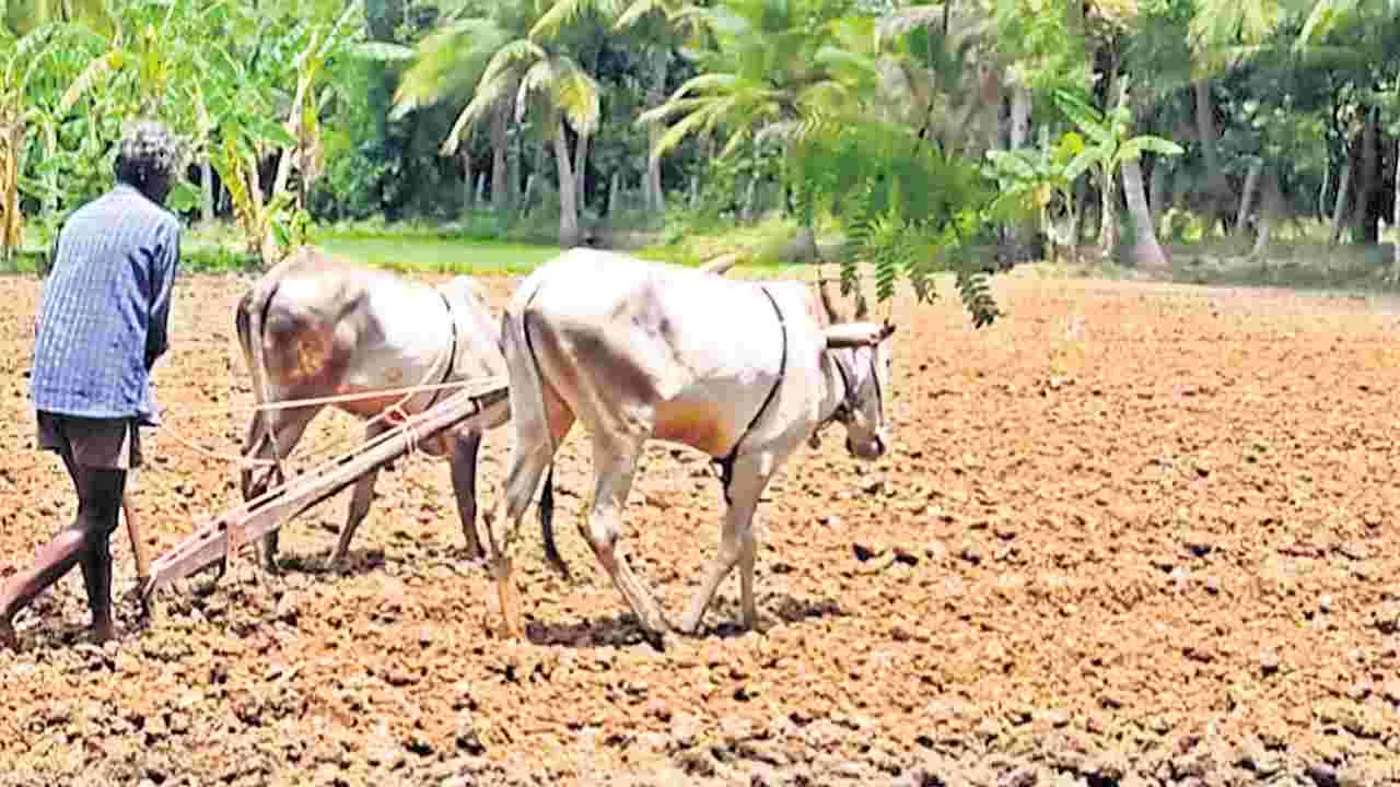 Farmers: ఖరీఫ్‌ సాగుకు సన్నద్ధం 