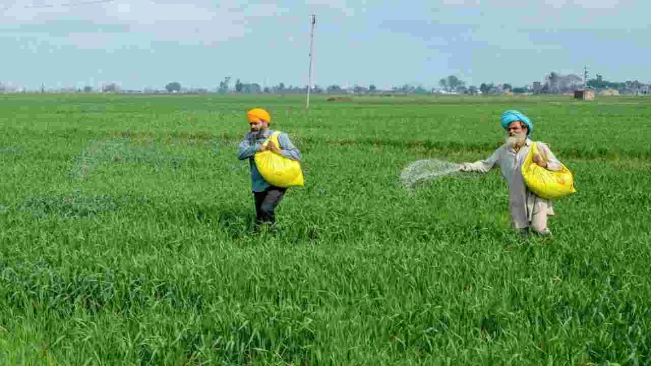 ఇరాన్ యుద్ధం.. 25 శాతం పడిపోయిన ఎరువుల ఉత్పత్తి..
