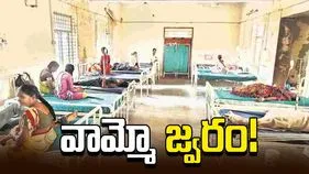 వామ్మో జ్వరం!