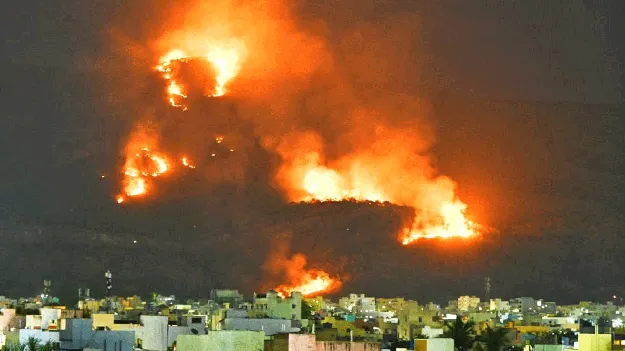  దగ్ధమవుతున్న తలకోన అడ వులు