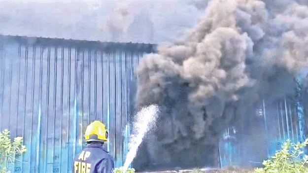 ఫ్లవర్‌ డెకరేటర్స్‌ గోదాంలో అగ్నిప్రమాదం