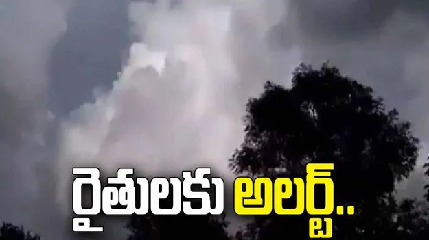 ఎల్‌నినో ఎఫెక్ట్.. ఈ ఏడాది 50 శాతం లోటు వర్షపాతం.!