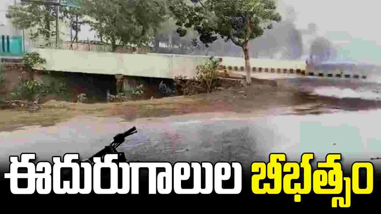 ఎన్టీఆర్ జిల్లా మైలవరంలో ఈదురుగాలుల బీభత్సం.. నేలకొరిగిన భారీ వృక్షాలు..