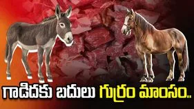 గాడిదకు బదులు గుర్రం మాంసం.. మూడు జిల్లాల్లో సాగుతున్న వ్యాపారం..