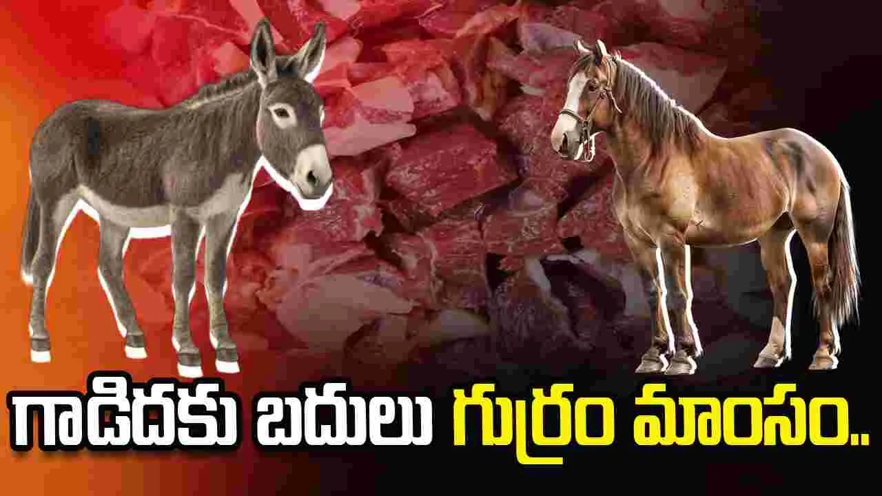 గాడిదకు బదులు గుర్రం మాంసం.. మూడు జిల్లాల్లో సాగుతున్న వ్యాపారం..