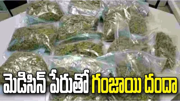 దేశవ్యాప్తంగా గంజాయి సరఫరా చేస్తున్న అంతరాష్ట్ర ముఠా గుట్టురట్టు