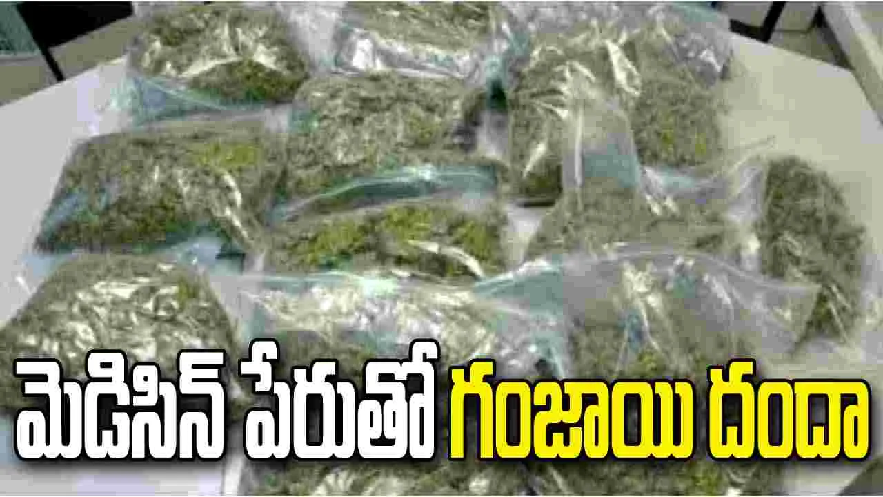దేశవ్యాప్తంగా గంజాయి సరఫరా చేస్తున్న అంతరాష్ట్ర ముఠా గుట్టురట్టు