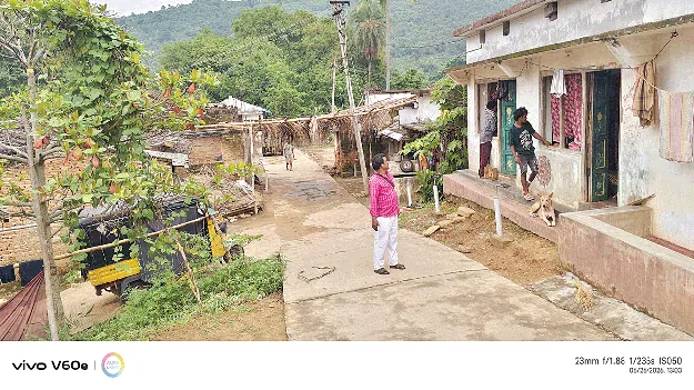 Agency Area Laid Low  మంచం పట్టిన మన్యం