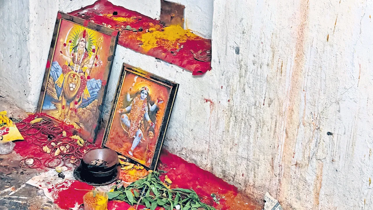 క్షుద్రపూజల కలకలం