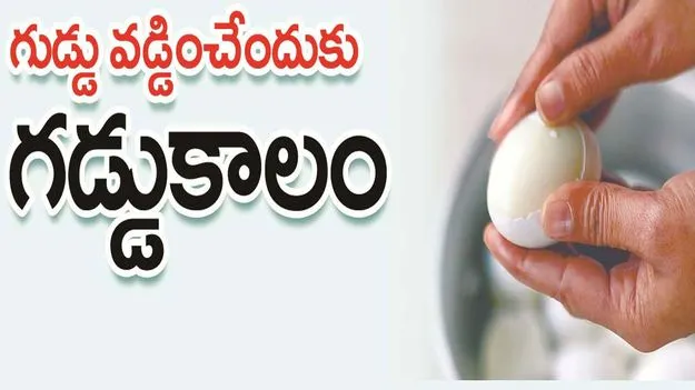 kumaram bheem asifabad- గుడ్డు వడ్డించేందుకు గడ్డుకాలం
