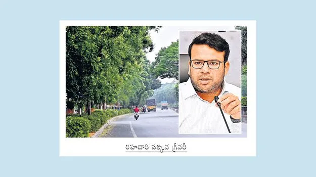 సొంతంగా సుందరీకరణ