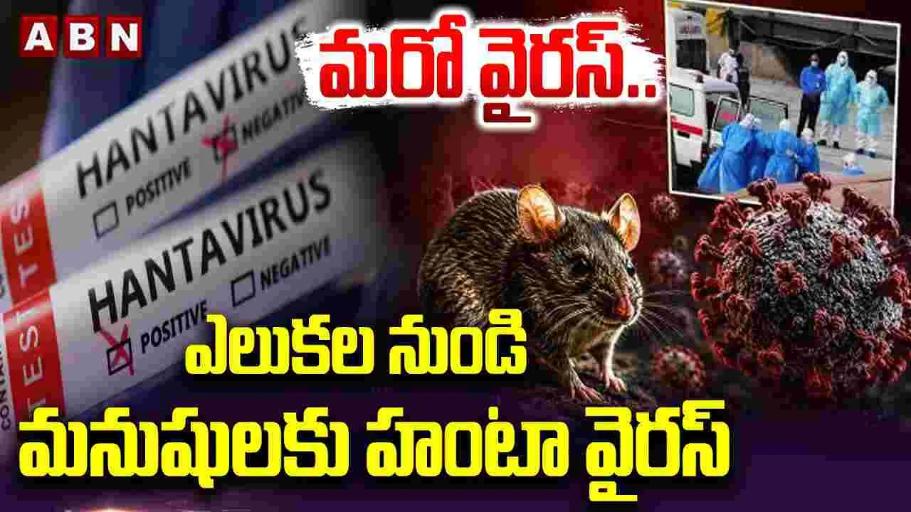 ఎలుకల నుంచి మనుషులకు హంటా వైరస్..