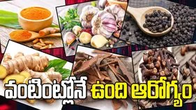 ప్రకృతి ప్రసాదించిన యాంటీ బయాటిక్స్.. రోగనిరోధక శక్తిని పెంచే 'సూపర్ మసాలాలు' ఇవే! 